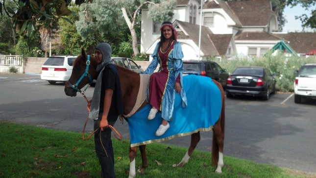 IMG_20130722_091820_611(1)